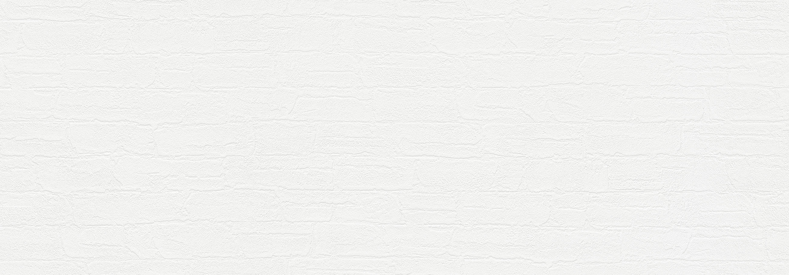 SLP-390 SLプラス 25-27