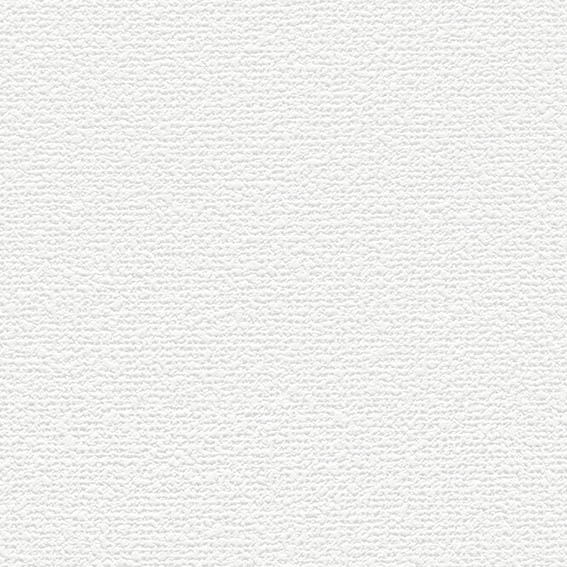 SLP-409 SLプラス 25-27