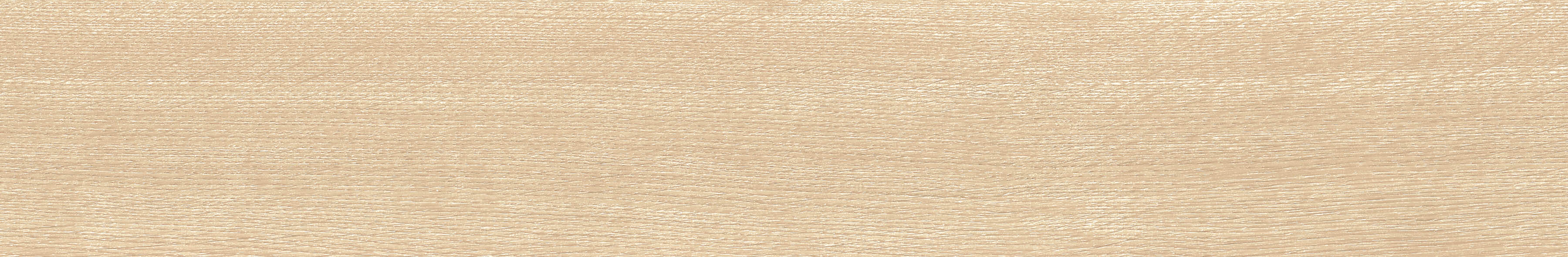 EW1064-15パスカルオーク