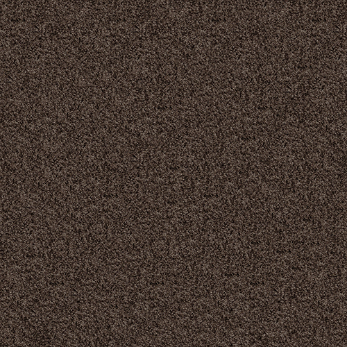 プライムクラス PRS154    /8枚入