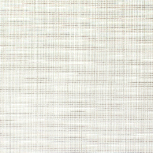 フレッシュ C25-2096   25-28