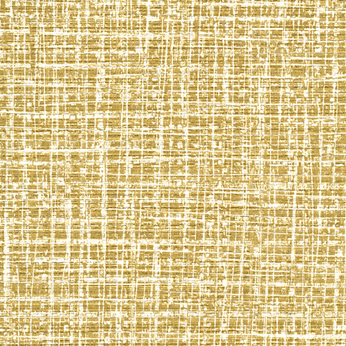 フレッシュ C25-2224   25-28