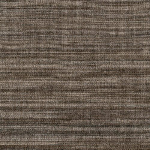 フレッシュ C25-2238   25-28