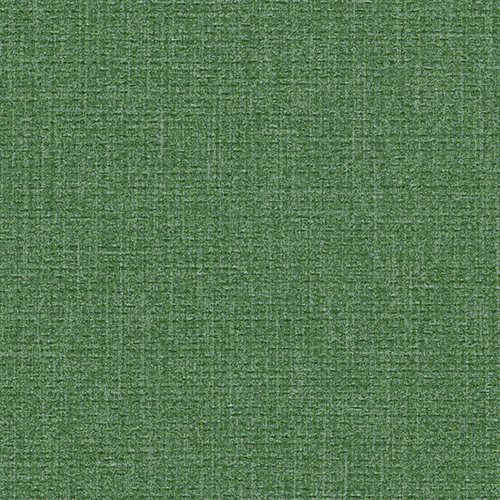 フレッシュ C25-2244   25-28