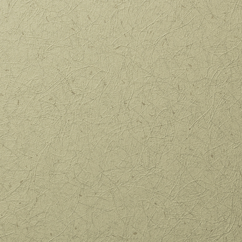 フレッシュ RF-3136    25-28