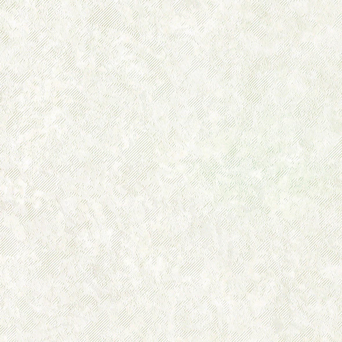FU-79493