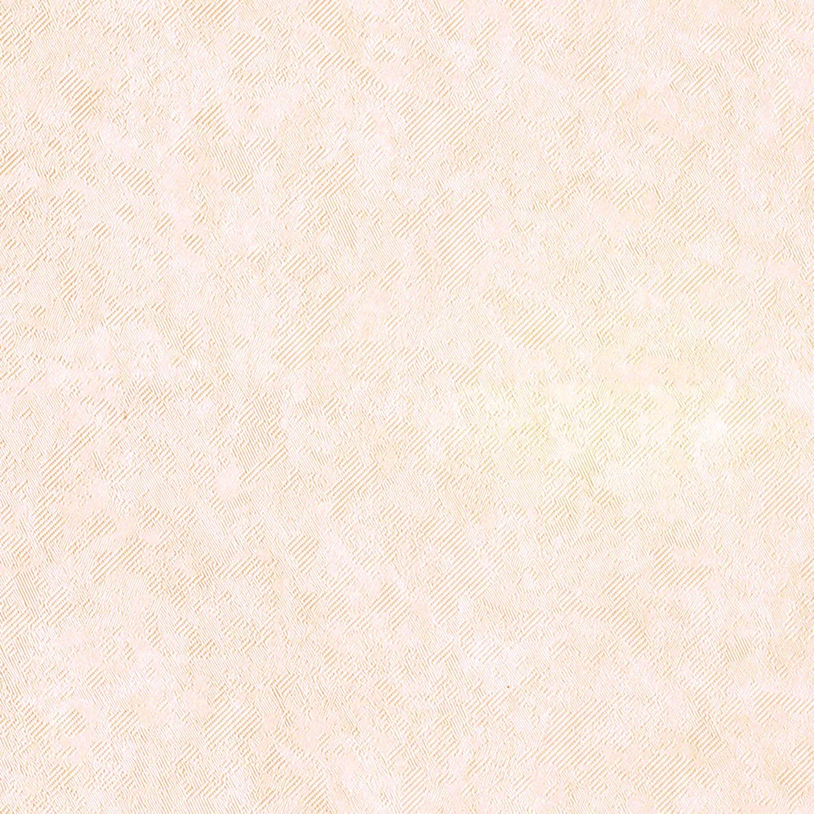 FU-79494