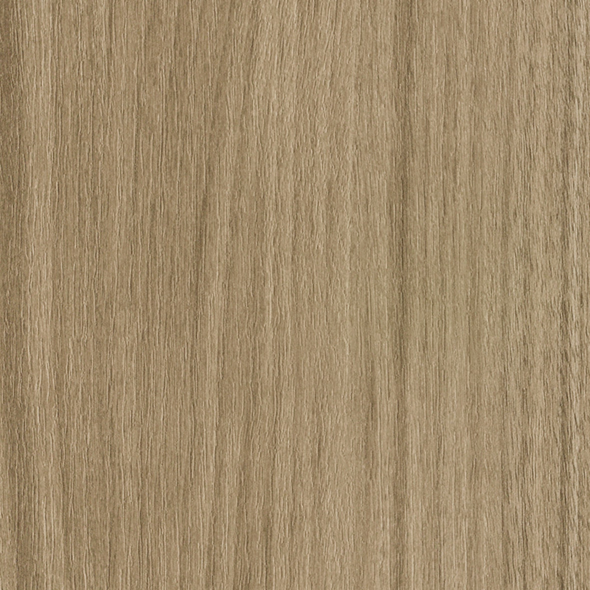 FU-79531