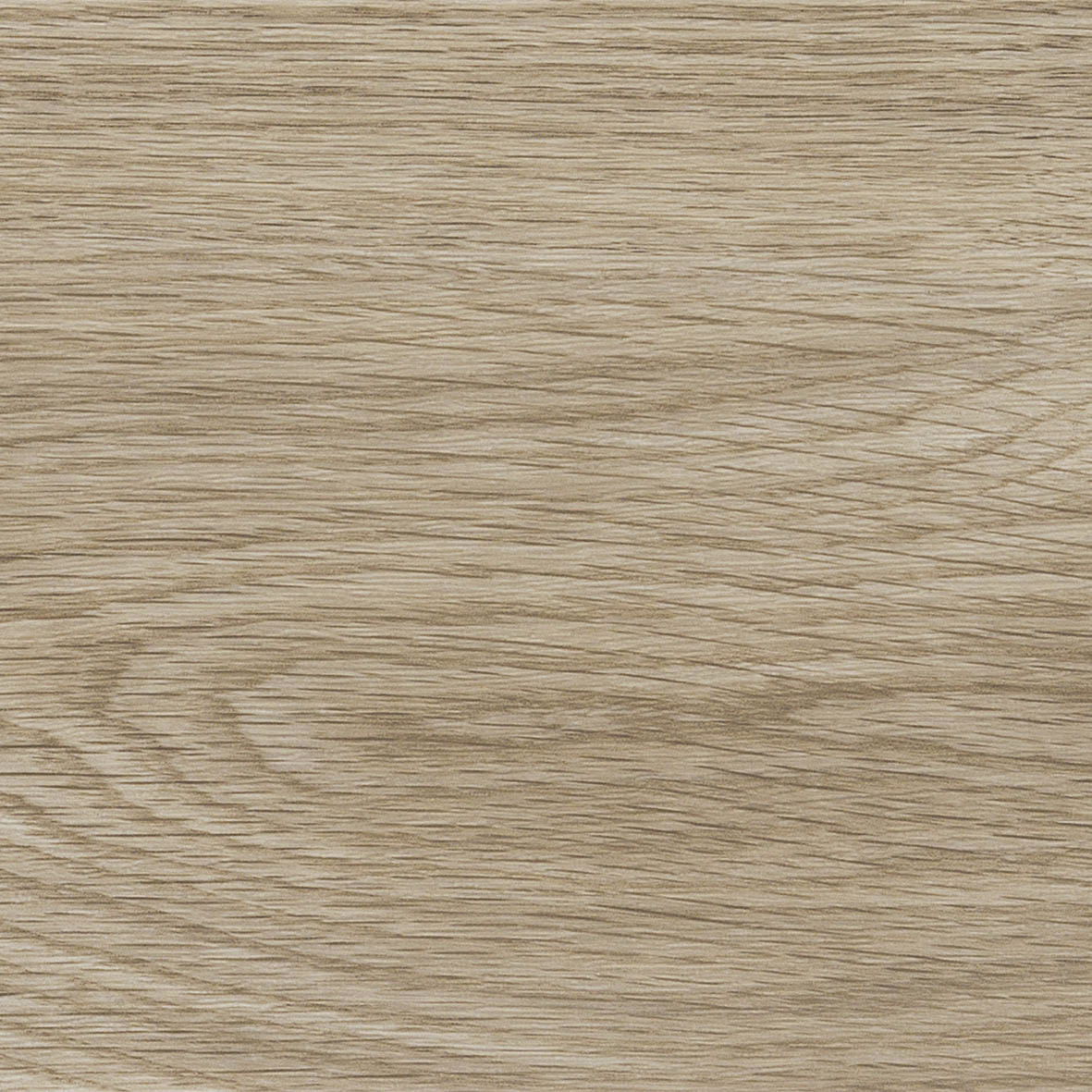 LGT-84307