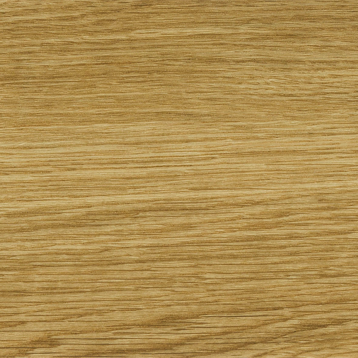 LGT-84308