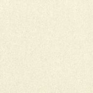 LW393