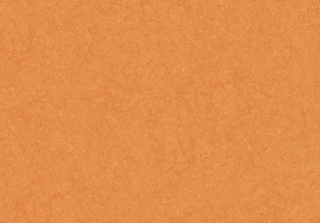 LW-291