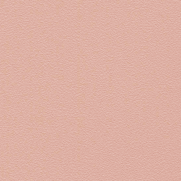 フェイス TH34315 FE76113  25-28