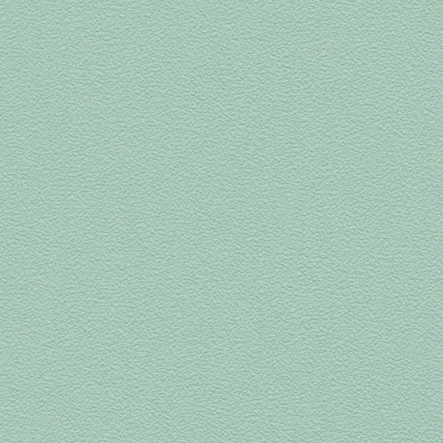 フェイス TH34319 FE76117  25-28