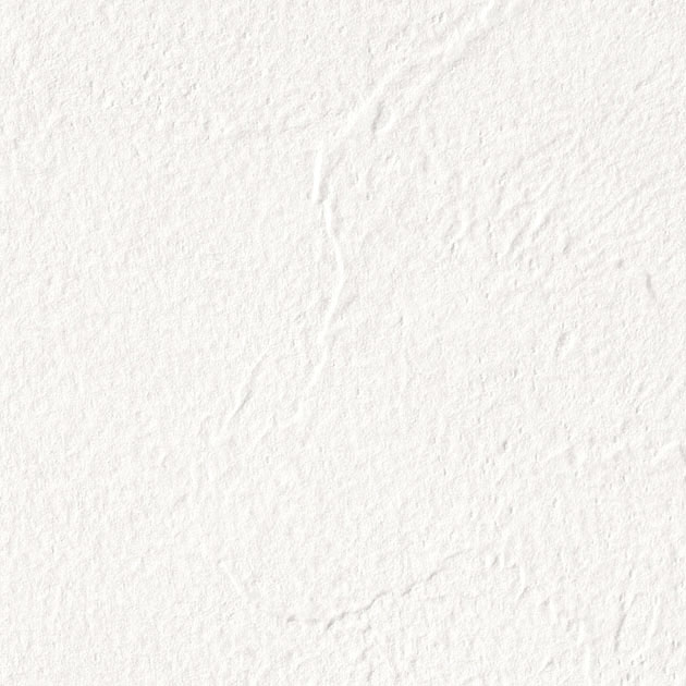 フェイス TH34425 ES8510  25-28