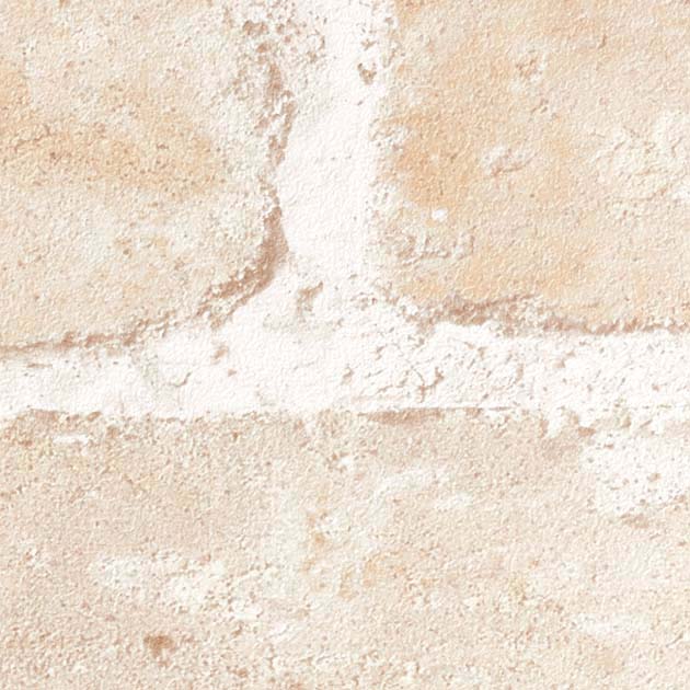 フェイス TH34689 TH32732  25-28