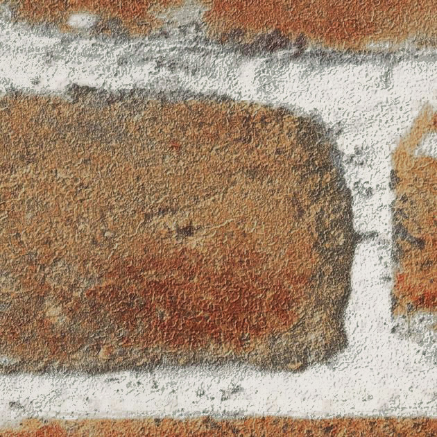 フェイス TH34690 FE76648  25-28