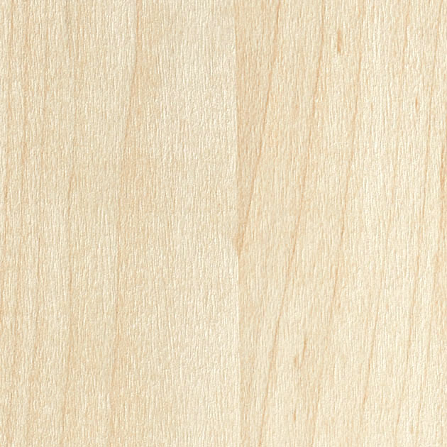 フェイス TH34707 FE76590  25-28