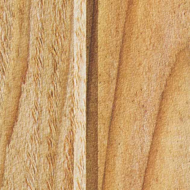 フェイス TH34779 TH32673  25-28