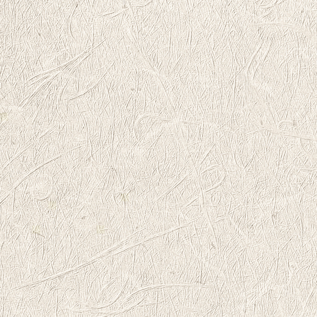 フェイス TH34809 FE76516  25-28