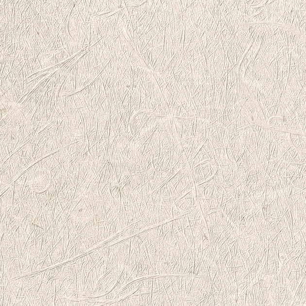 フェイス TH34810 FE76520  25-28