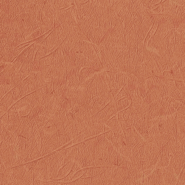 フェイス TH34814 FE76522  25-28