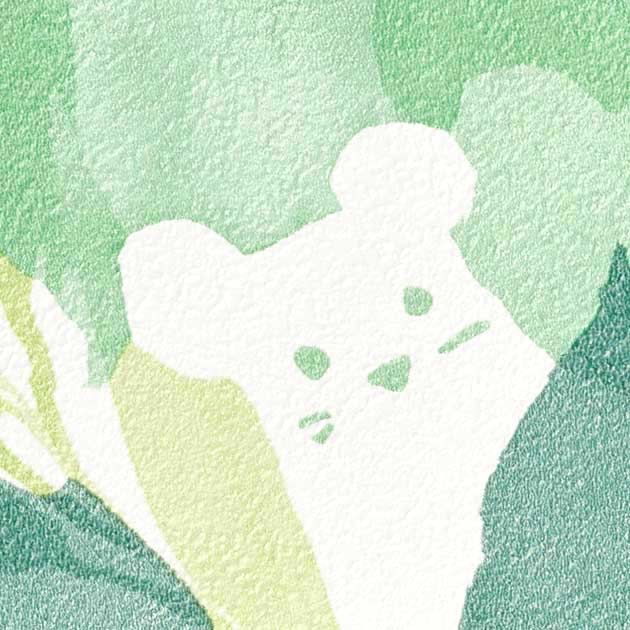 フェイス TH34972 TH32957  25-28