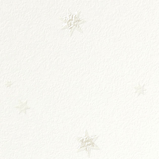 フェイス TH34978 TH32960  25-28