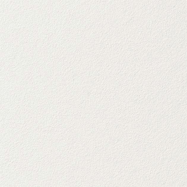 フェイス THB1901 SGM1075  25-28