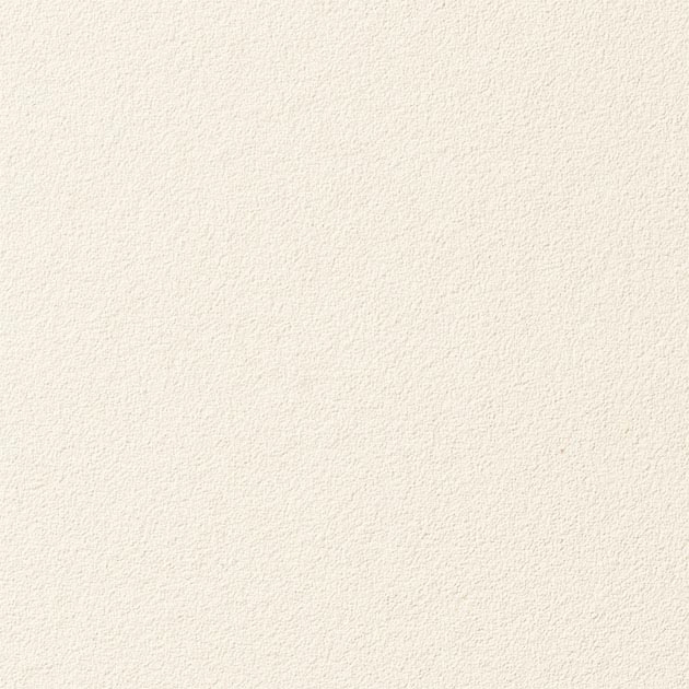 フェイス THB1902 SGM1076  25-28