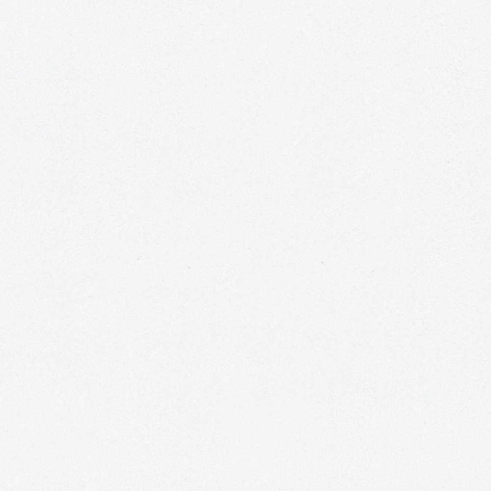 ブルテックス TWX4237  2024~