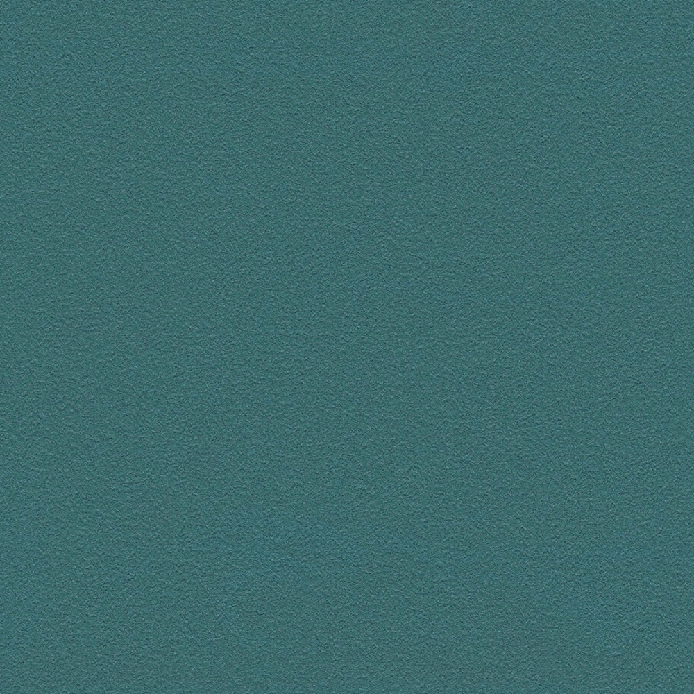 ブルテックス TWX4243  2024~