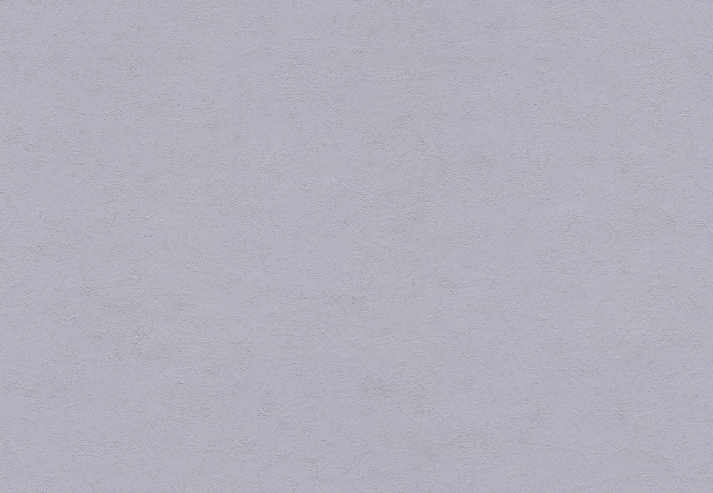 ブルテックス TWX4260  2024~