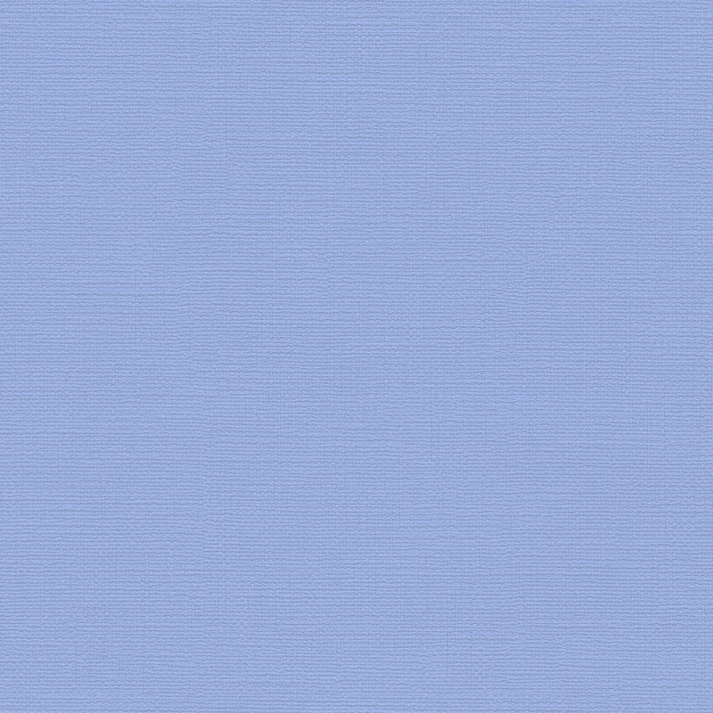 ブルテックス TWX4279  2024~