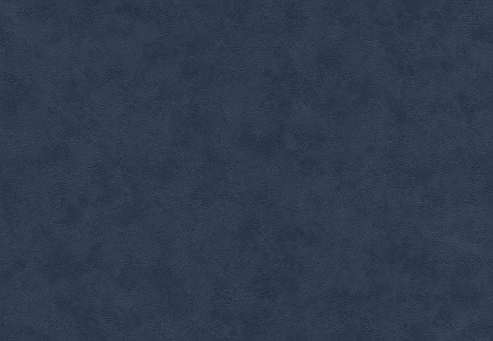 ブルテックス TWX4287  2024~