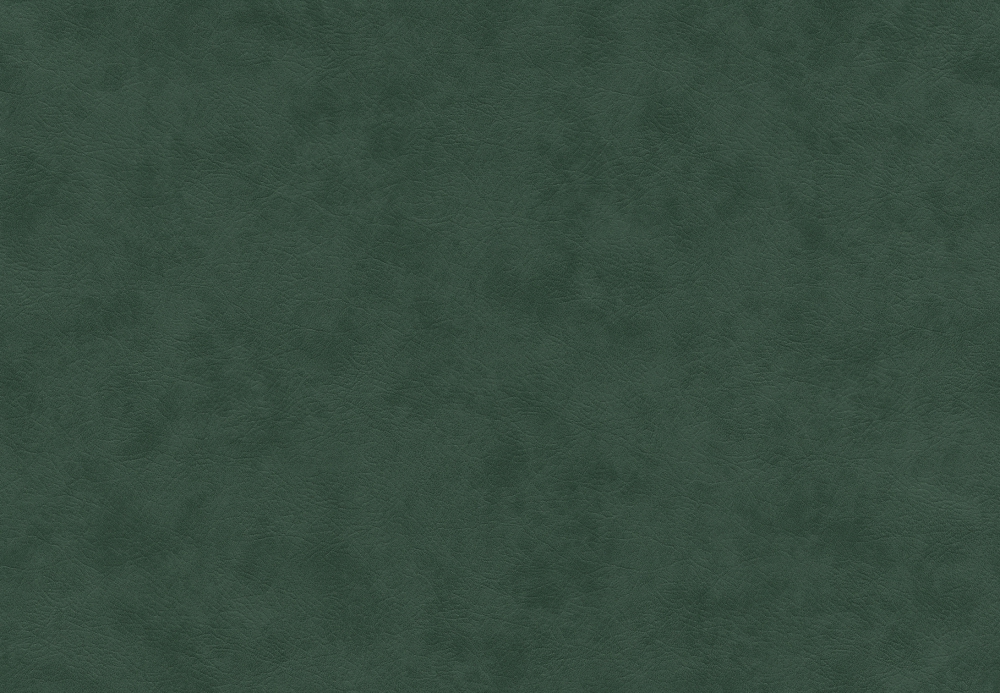 ブルテックス TWX4288  2024~