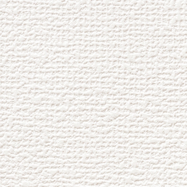 パインソフトS TPS731　25-30