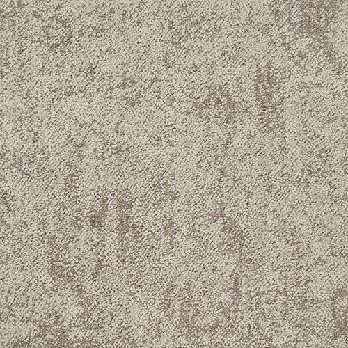 タピス スグラフィート(R12枚入) TZ11-705