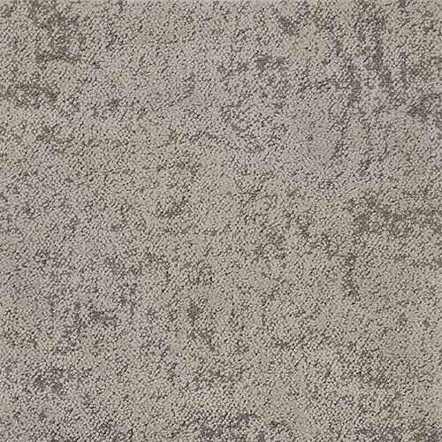 タピス スグラフィート(R12枚入) TZ11-706