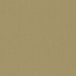 ベルビアン MR-1040　ミストゴールド　単位：10cm