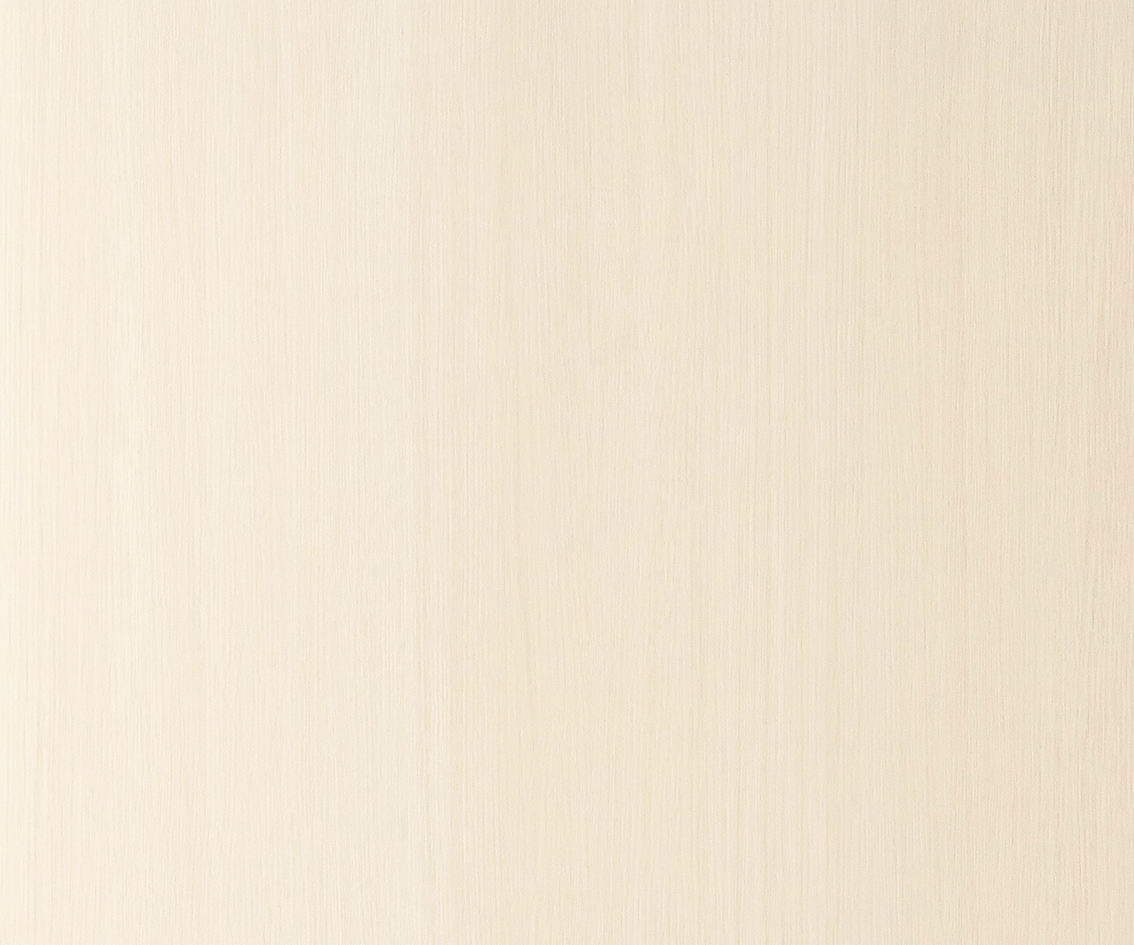 イビポリ　IP-5733D2　4×8