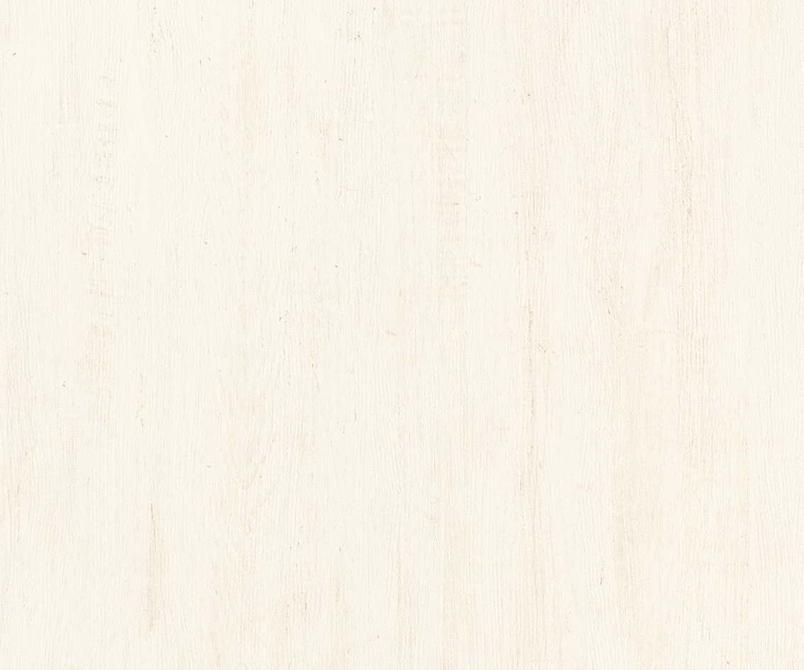 イビポリ　IP-5803D2　4×8