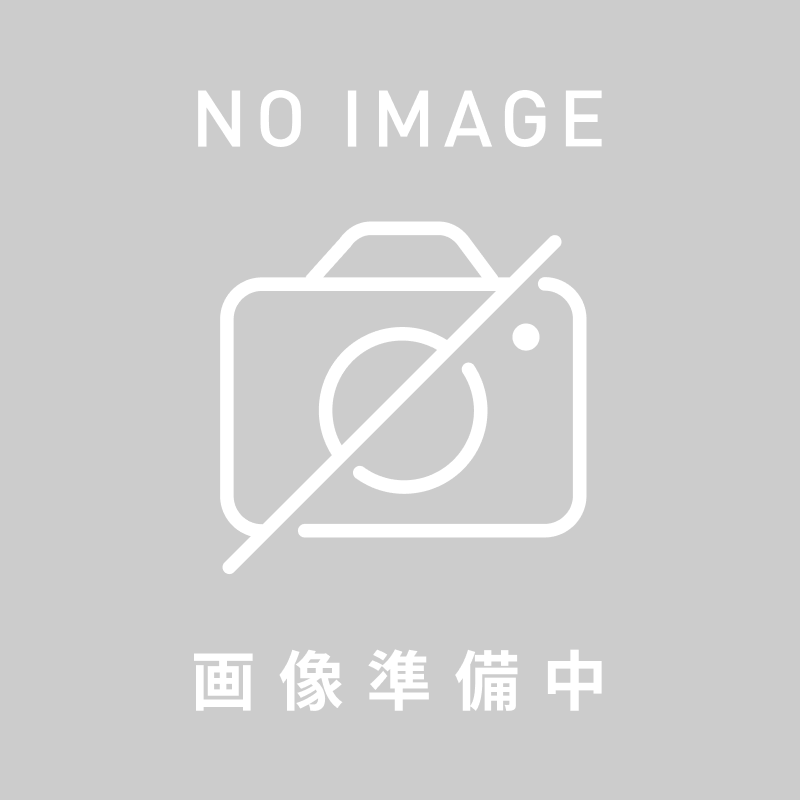 テスト商品　当日出荷