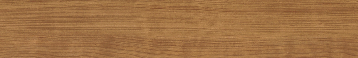 カナエル　C防音45　C45S1E1