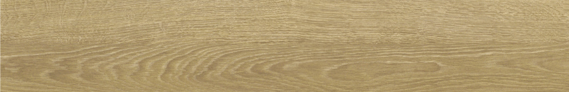 カナエル　C防音45　C45S1G1