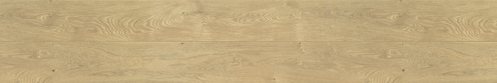 カナエル C12・Jベース　JC12S1C1