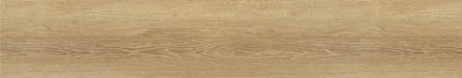 カナエル C12・Jベース　JC12S1G1