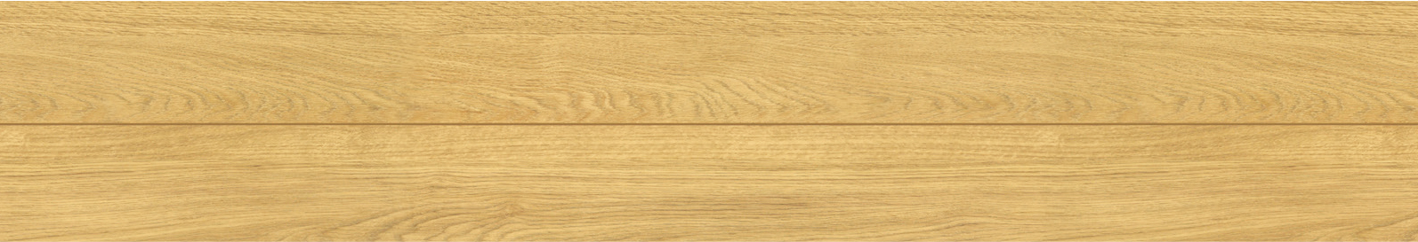 カナエル C12・Jベース　JC12S1L1