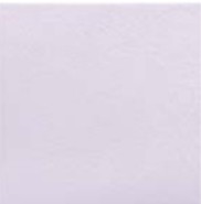 フェミーナ　303角片面小端仕上げECP-3031T/FMN2N