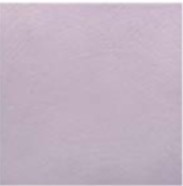 フェミーナ　303角片面小端仕上げECP-3031T/FMN5N